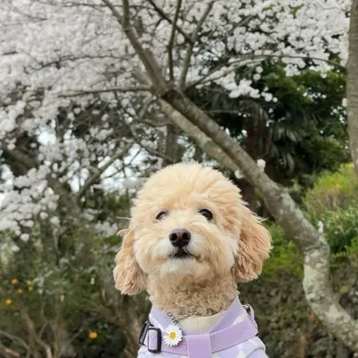 라떼🫶 profile