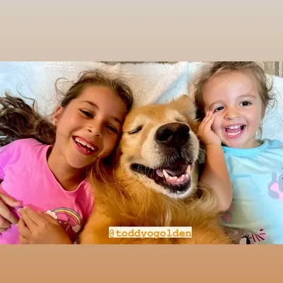 Toddy E as Marias profile