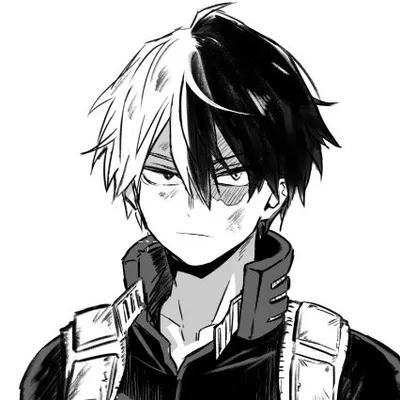 TODOROKI SHOUTO ~ 70k profile