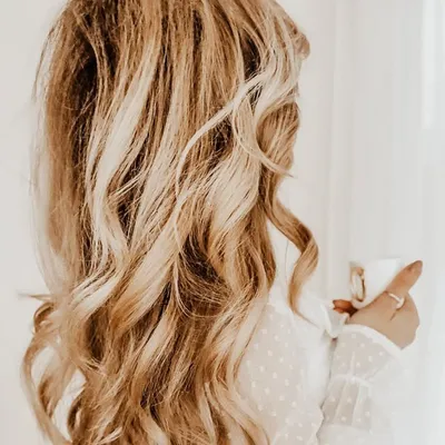 NADINE profile