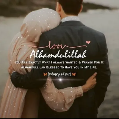 شیخ توفک profile