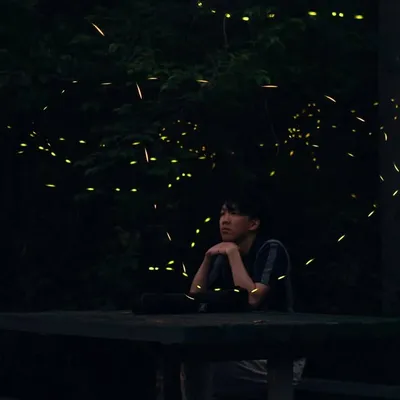 Wei Yang profile