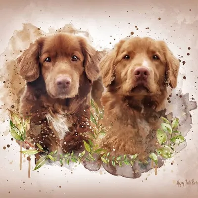 Sam & Rex profile