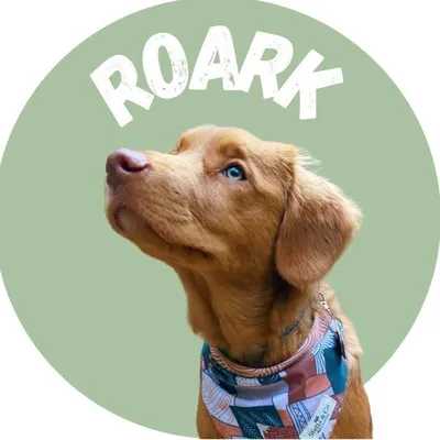 Roark the Toller profile