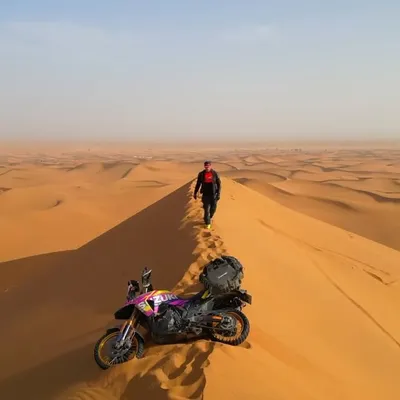 ๐ฒ Tom Barrer ๐ profile