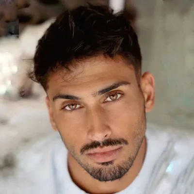 Tomer profile