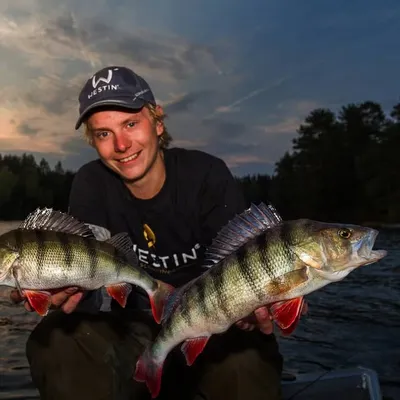 Tommie Magnusson profile