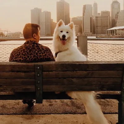 Tommy Ton profile