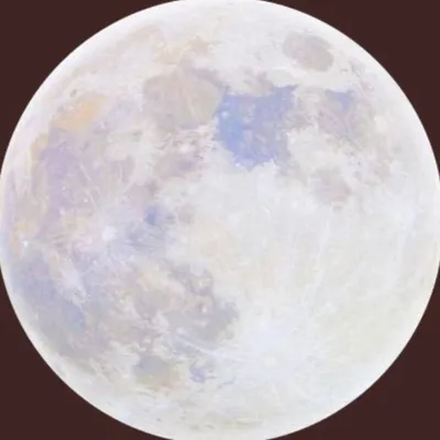 regarde, ton cœur bat toujours profile