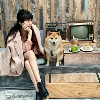 李彤彤|美食 旅遊 住宿 親子| profile