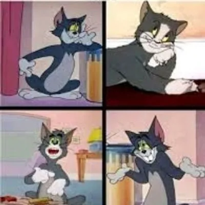 toonmemer profile