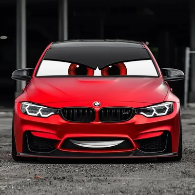 TOONS CARS profile