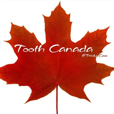 Tooth Canadaš profile