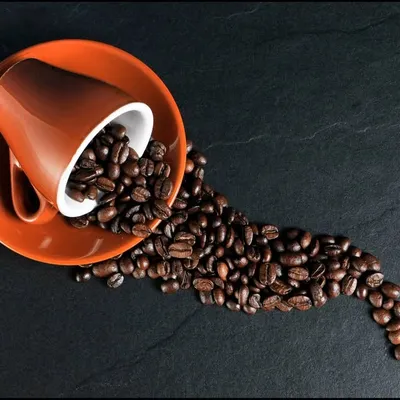 Coffee Lovers profile