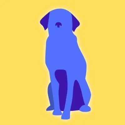 Top Dog Behavior and Training | Southern Oregon Dog Trainer profile