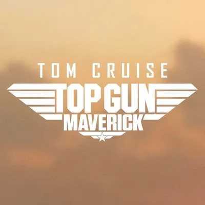 Top Gun profile