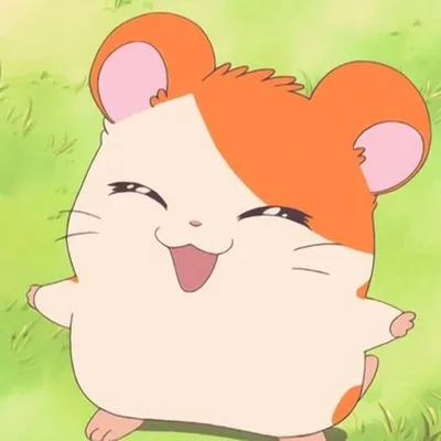 ๐
๐พ๐ต๐ธ๐ต๐ธ๐ท profile