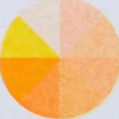 Topo Copy profile