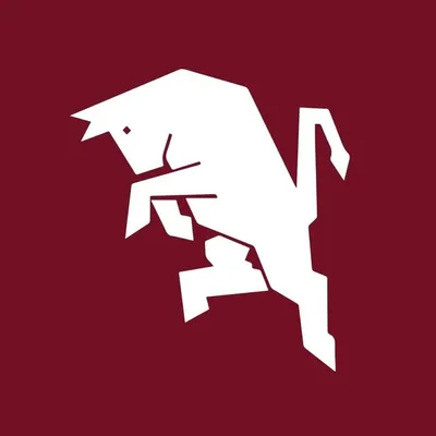 Torino Football Club profile