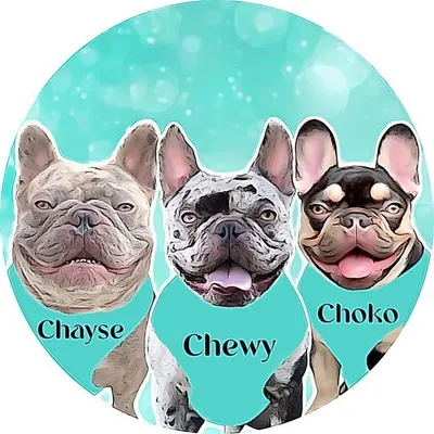 CHEWY & CHAYSE profile