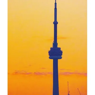 Toronto Ontario ๐จ๐ฆ profile