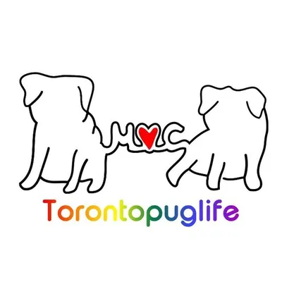 Torontopuglife profile