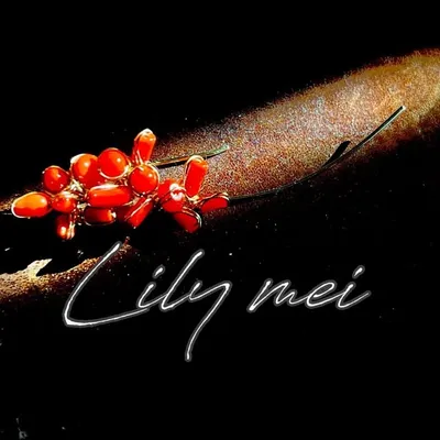 ⁂⁑⁂ Lily mei ⁂⁑⁂ profile