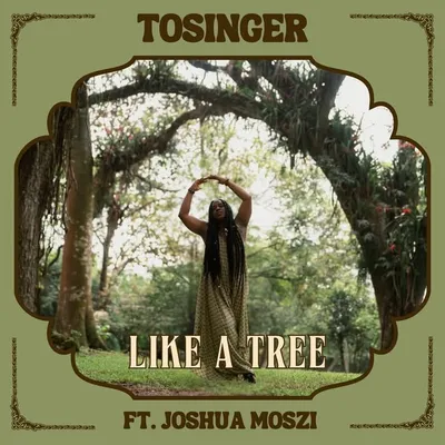 TOSINGER ✨ profile