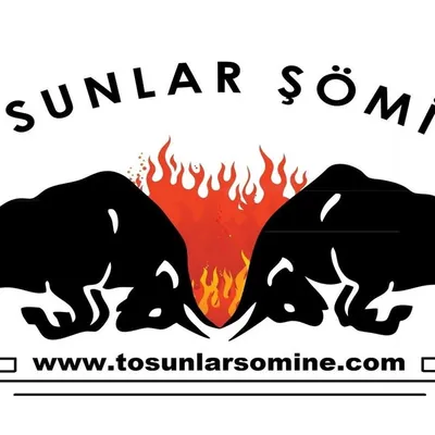 Tosunlar Şömine profile