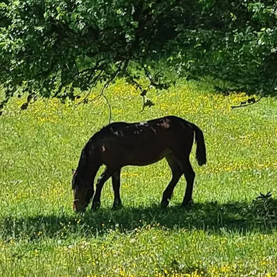 NatureFreak profile