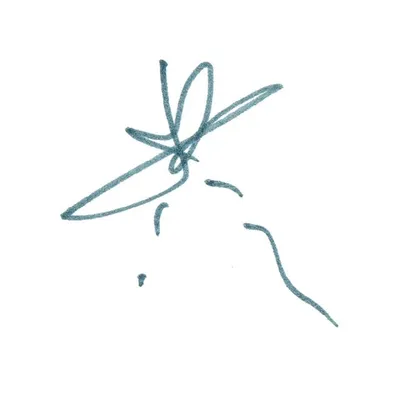 Touché Amoré profile