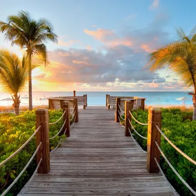Vacations | Travel | Nature profile