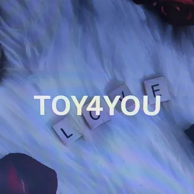 TOY4YOU🔞 profile