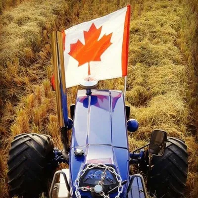 🚜ਟਰੈਕਟਰ🔝❤️™️ profile
