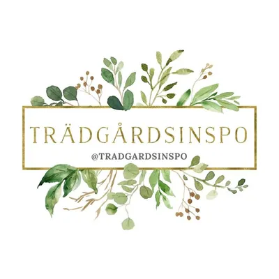 TRÄDGÅRDSINSPO 🌱 GARDENINSPO profile