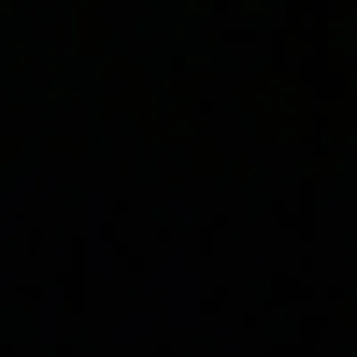 Trae Young profile