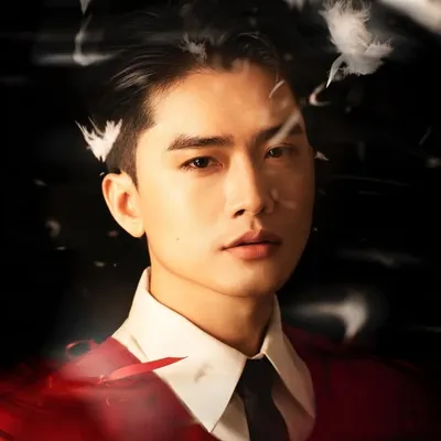 Trần Minh Quân profile
