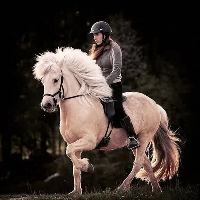 Veronika Kieslinger profile