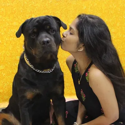 Trupti Dobarkar David profile
