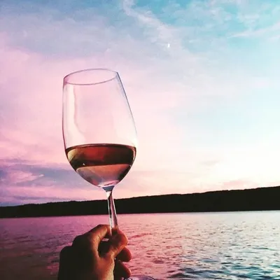TravelGlassWine ๐ท profile