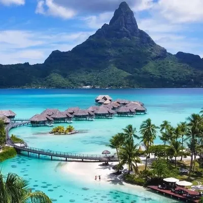 travelimind profile