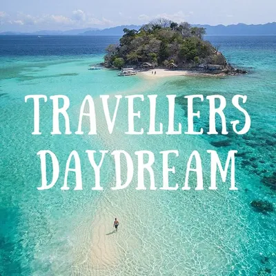 Travellers Daydream profile