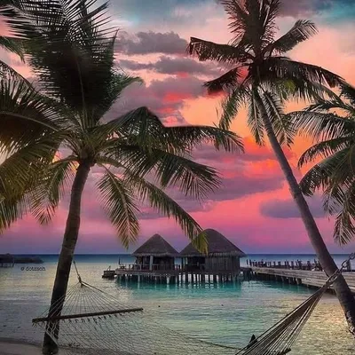 🌴Travel | Life | Nature🌴 profile