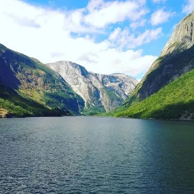 Aratrika Das profile