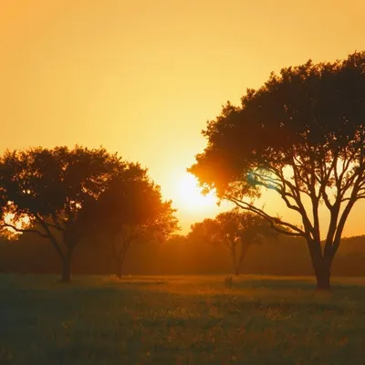 Travel | Nature profile