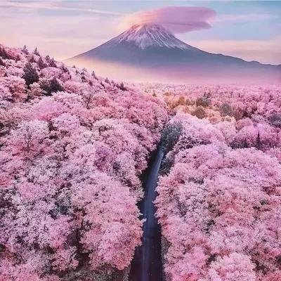 Travel | Nature | Vacation profile