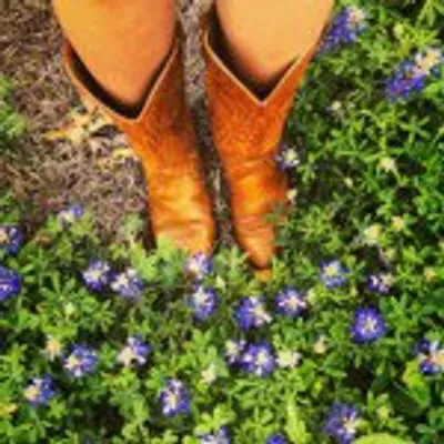TravelTexas profile
