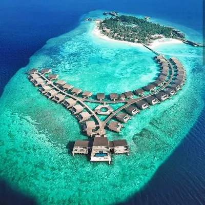 traveluxure_ profile
