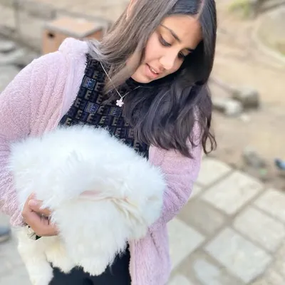 travelwithupasna profile