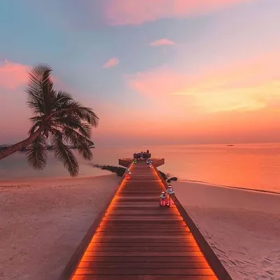 Travelz Posts profile